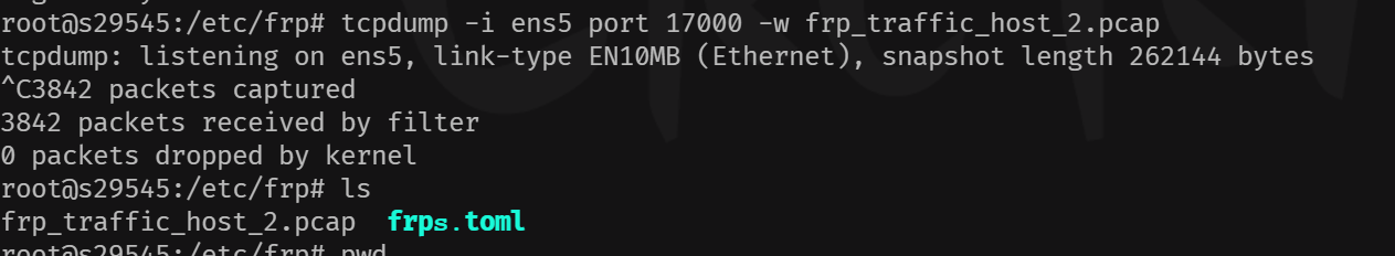 image-20250225175113005