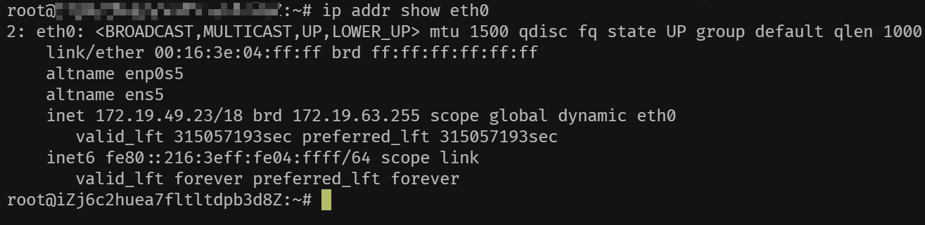 image-20250225224844077